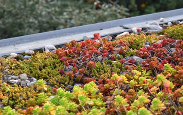 the cost of Thorpe By Water green roof installation