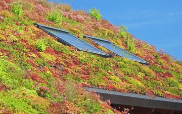 Thorpe By Water living roof systems