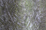 Thorpe By Water fibreglass roof work